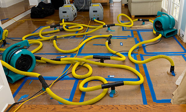 Professional Water Damage Restoration technician working in Wolf Creek, UT